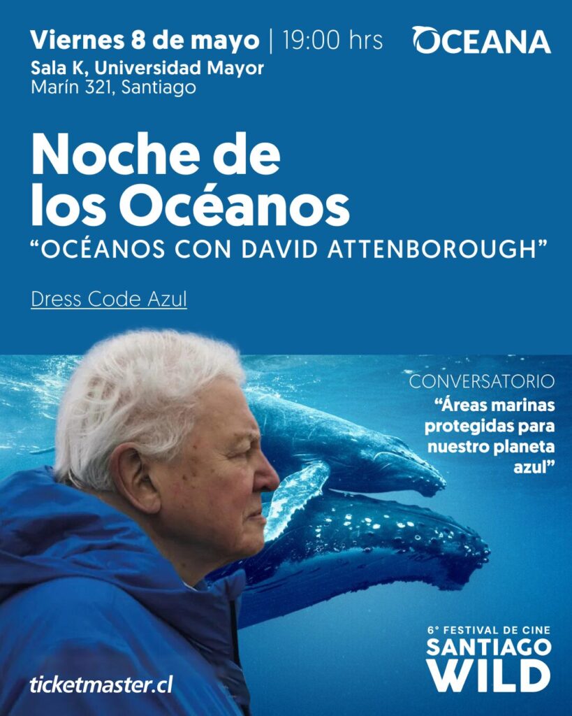 viernes8demayosantiagowild