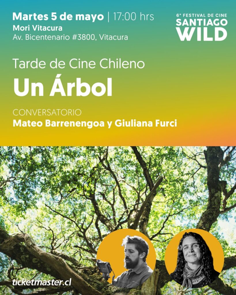 martes5demayosantiagowild