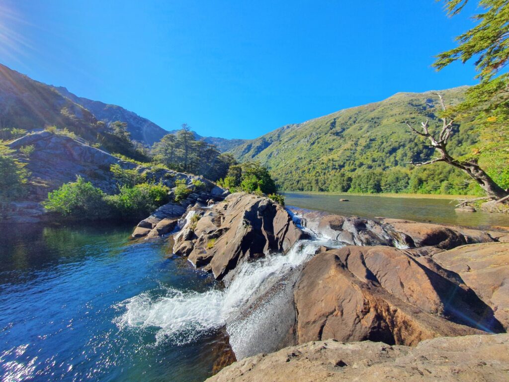 Foto cortesía de Área de Conservación Cañicura
