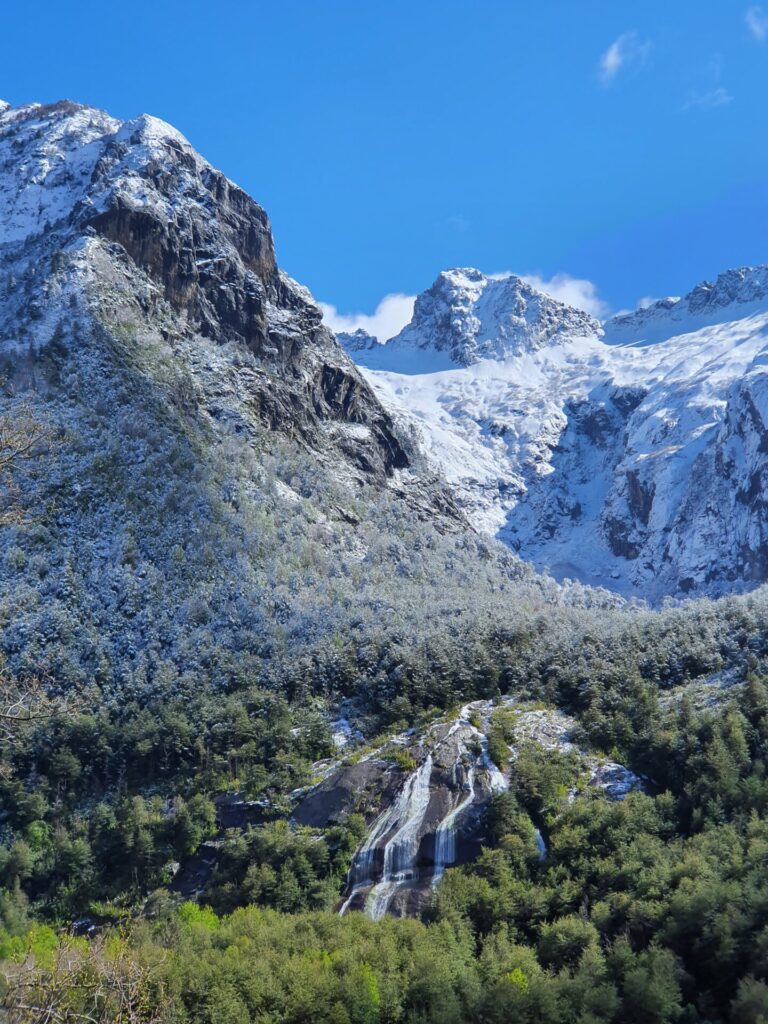 Foto cortesía de Área de Conservación Cañicura