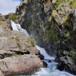 Foto cortesía de Área de Conservación Cañicura