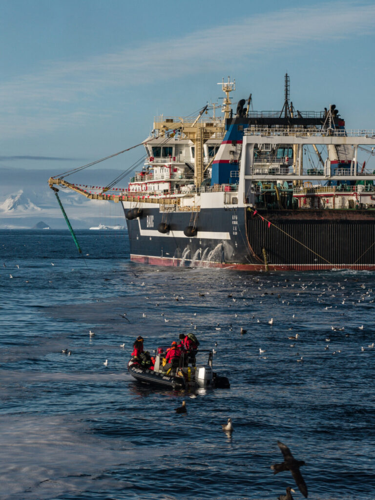 Cerca de pesca de kril. Créditos: Cortesía Fundación Paul Watson.