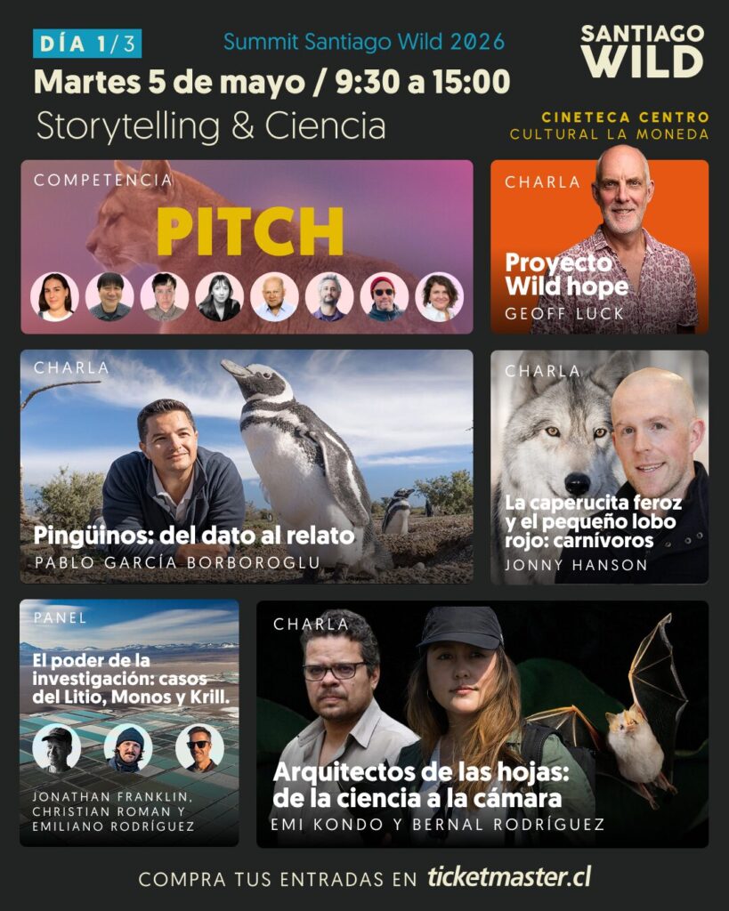 martes5demayosantiagowild