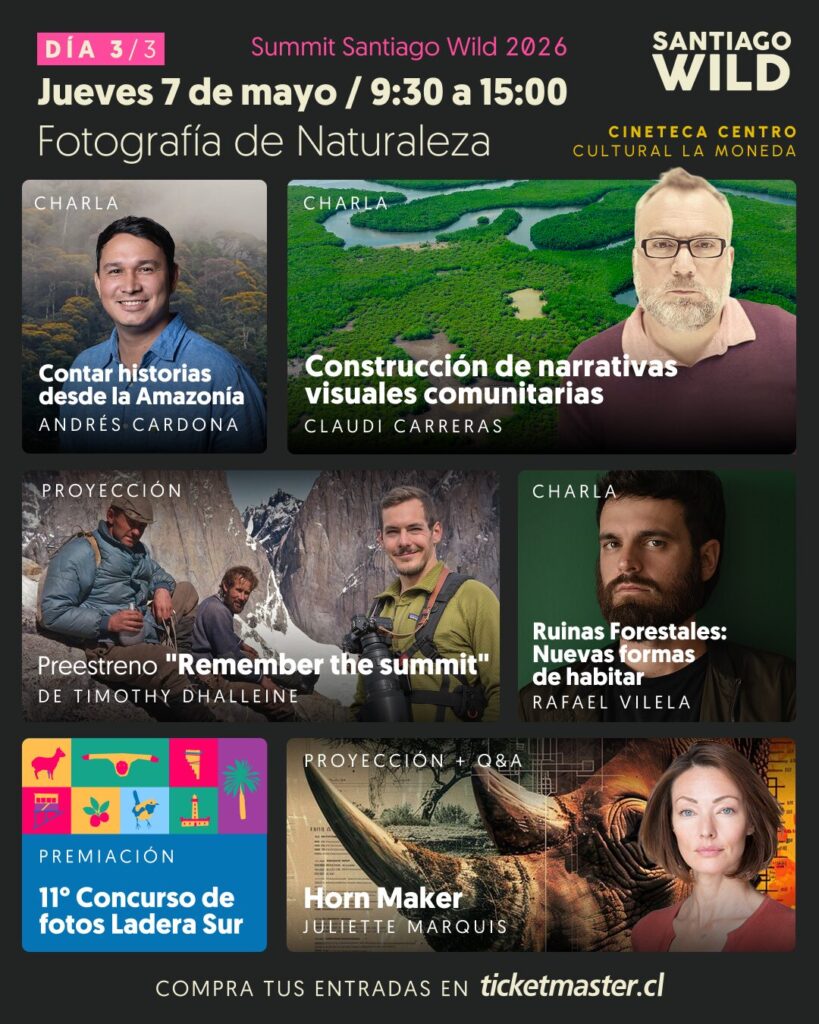 jueves7demayosantiagowild