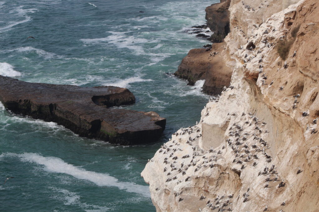 Acantilados de Quirilluca. Créditos: ©Tamara Núñez