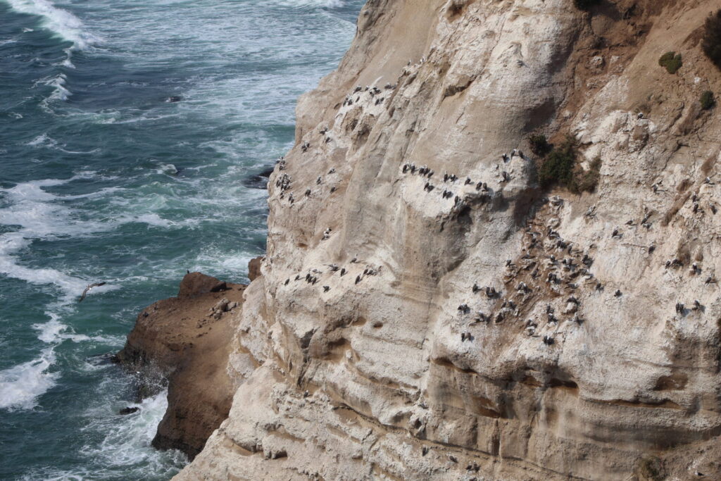 Acantilados de Quirilluca. Créditos: ©Tamara Núñez