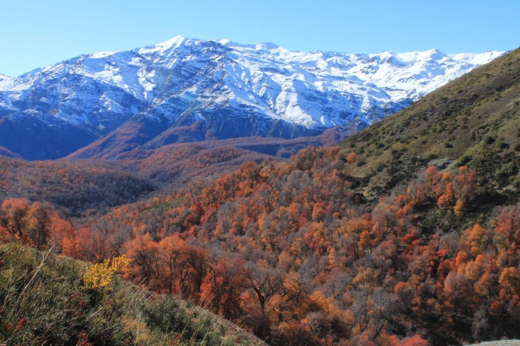 altohuemulmiradorvictorino