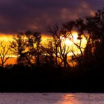 foto de Annais Pascual