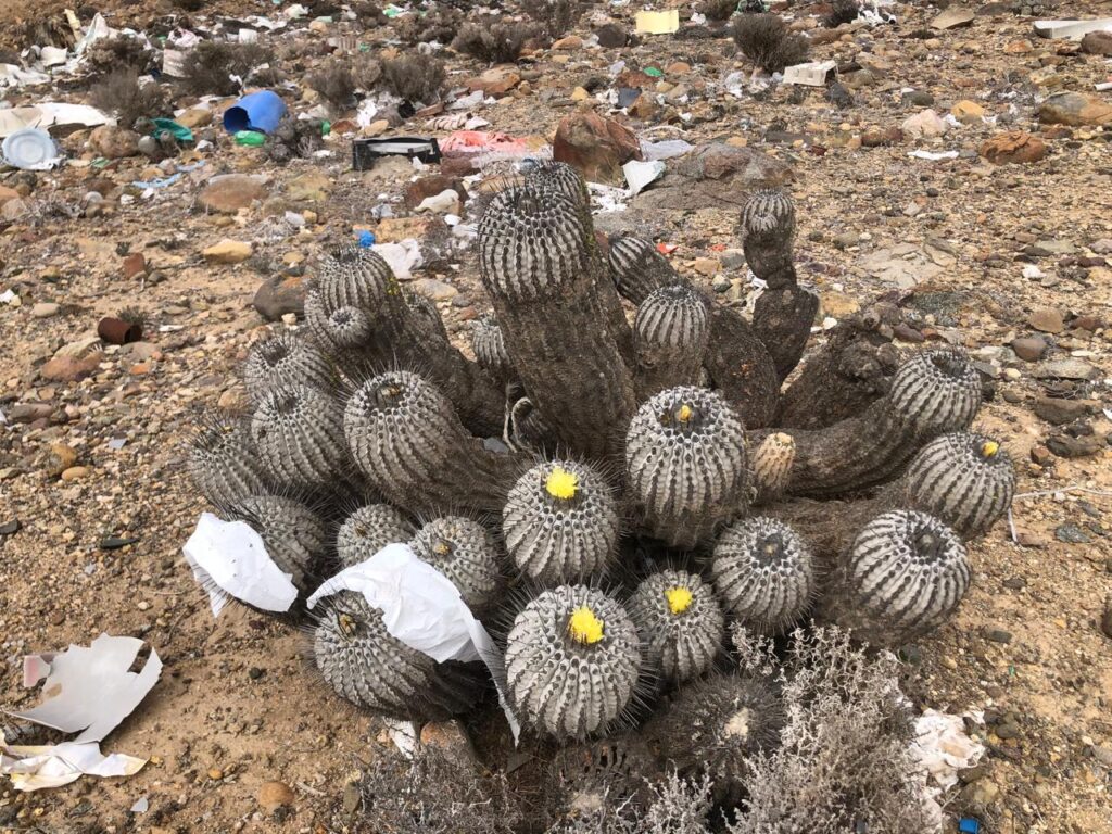 Amenaza Contaminación (basural) ©Moises Grimberg