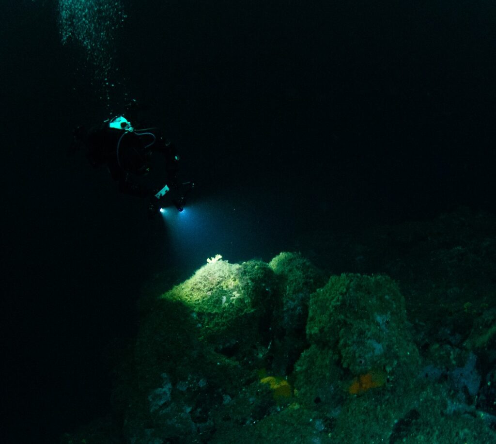 Foto submarina, foto de Alejandro Pérez