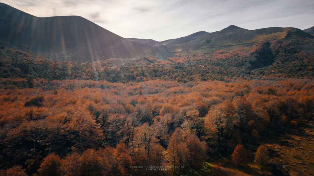 Foto por Rodrigo Hermosilla