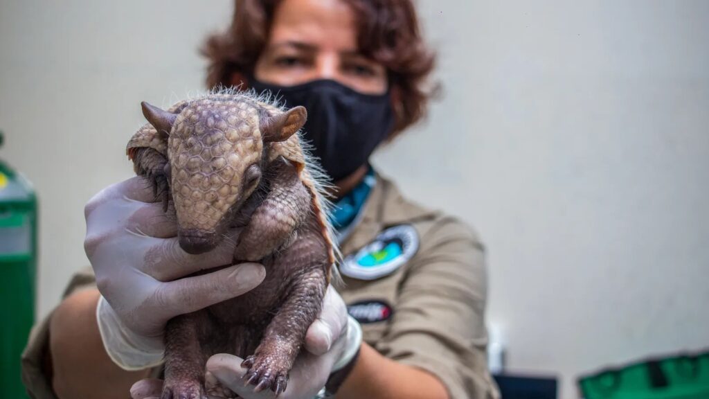 Flávia Miranda. Créditos: Gustavo Eufigenio Gomes, Instituto Tamanduá