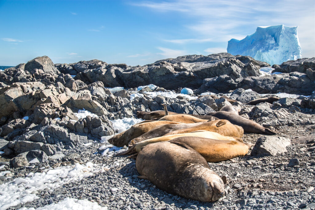 Bahía Margarita, Antártica. Créditos: ©Harry Diaz / INACH