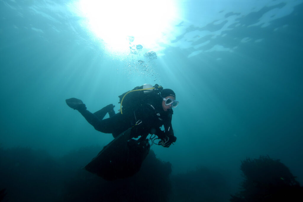 Foto submarina, foto de Nicolás Acuña