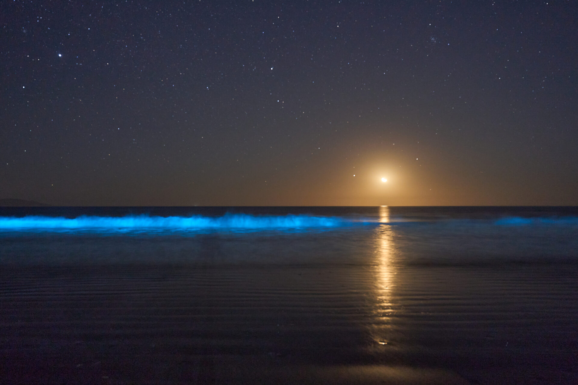 El mar se sigue encendiendo en el norte: Nuevos registros de bioluminiscencia llegan desde Guanaqueros