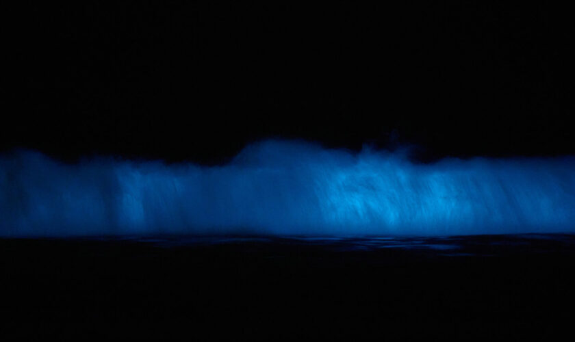 El mar se sigue encendiendo en el norte: Nuevos registros de bioluminiscencia llegan desde Guanaqueros