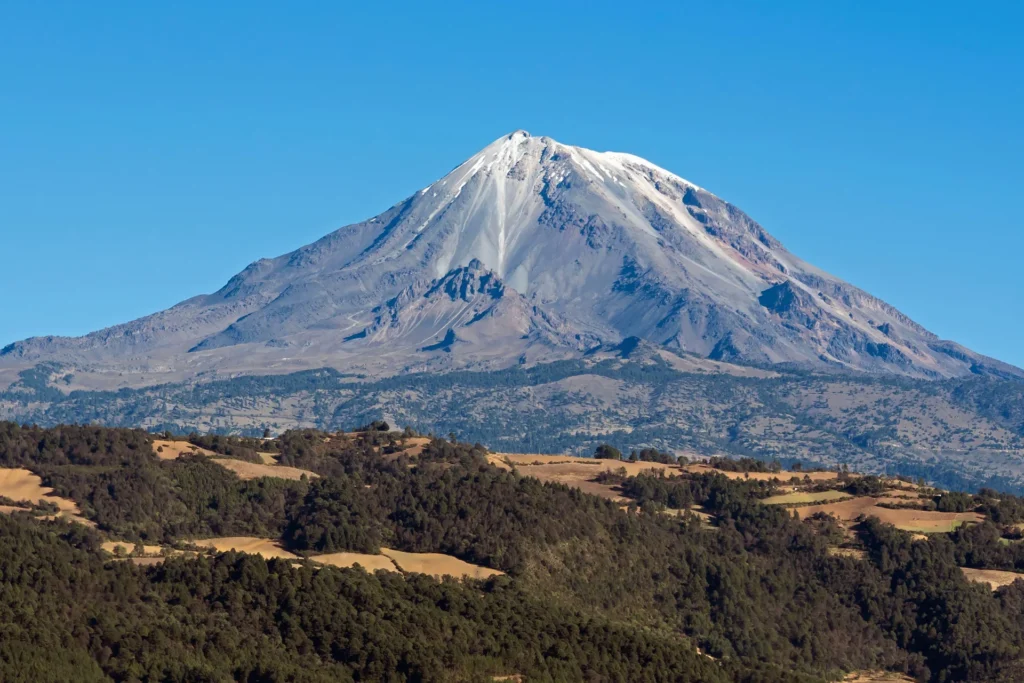 bosquepinodeorizaba
