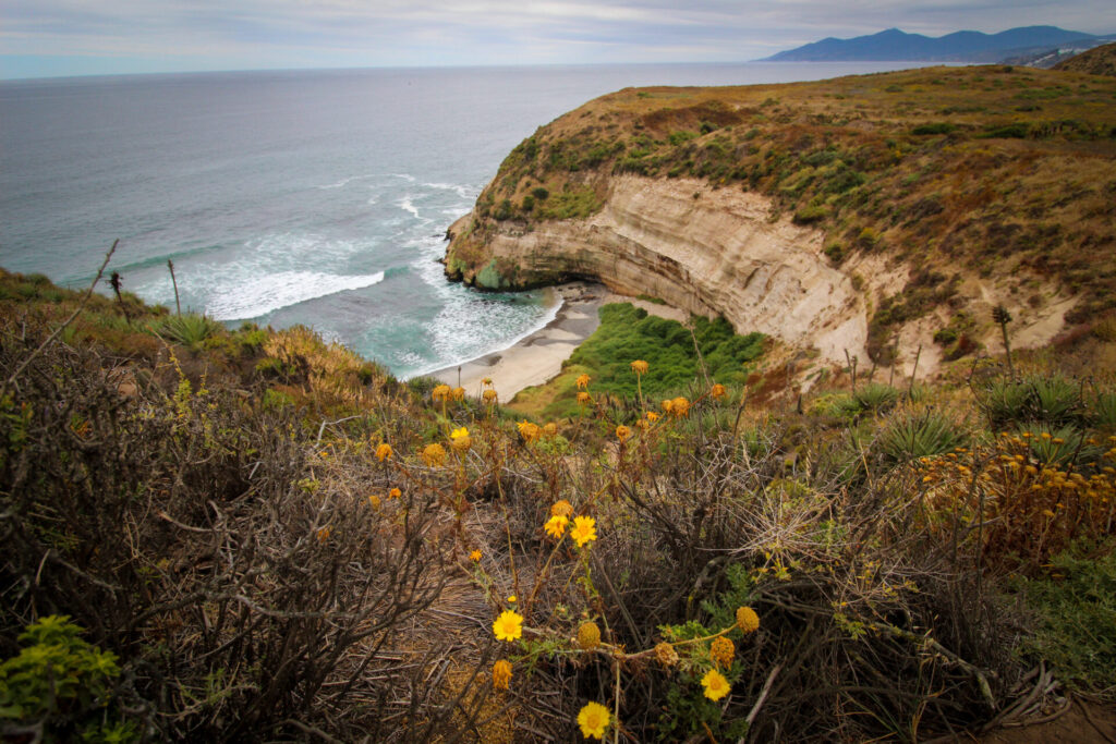 Acantilados de Quirilluca. Créditos: ©Tamara Núñez