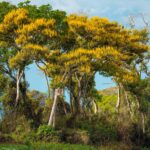 foto de Annais Pascual