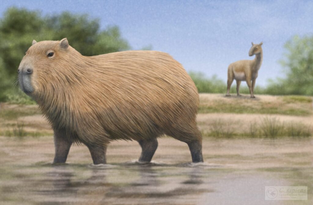 Capibara y litopterno (c)Carlos Espinosa