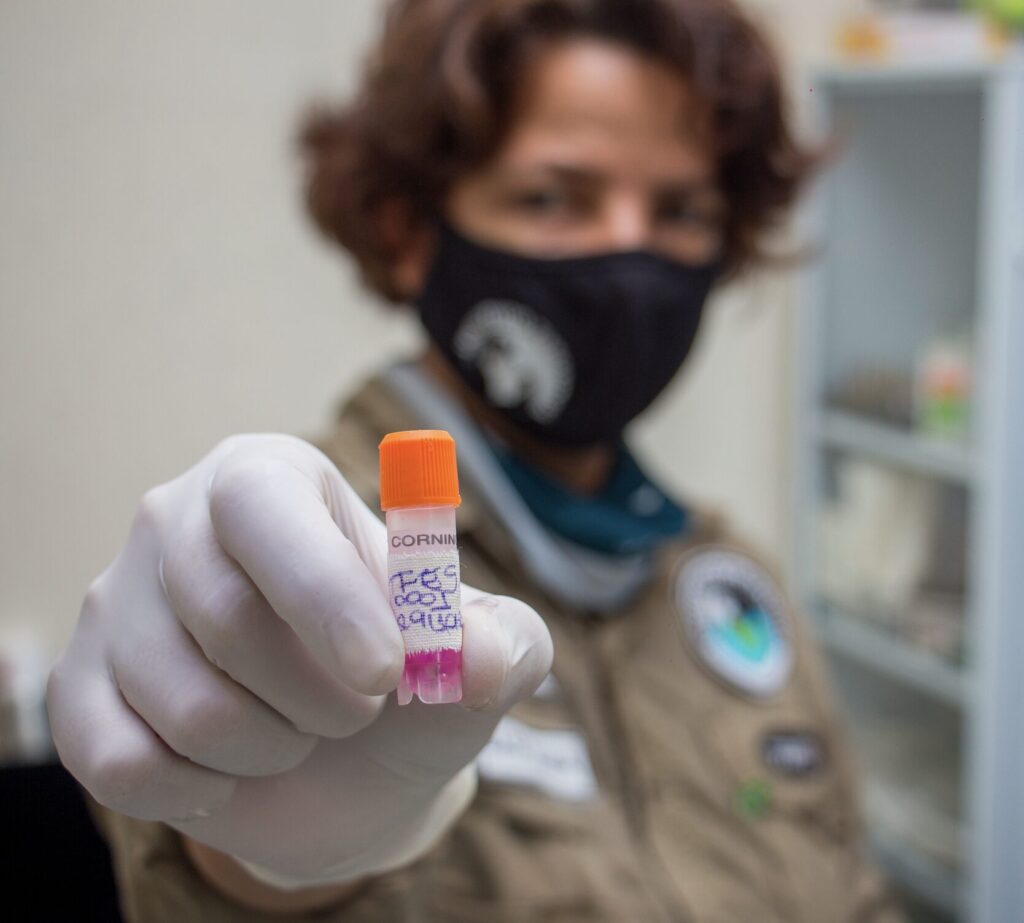 Flávia Miranda. Archivo Personal.