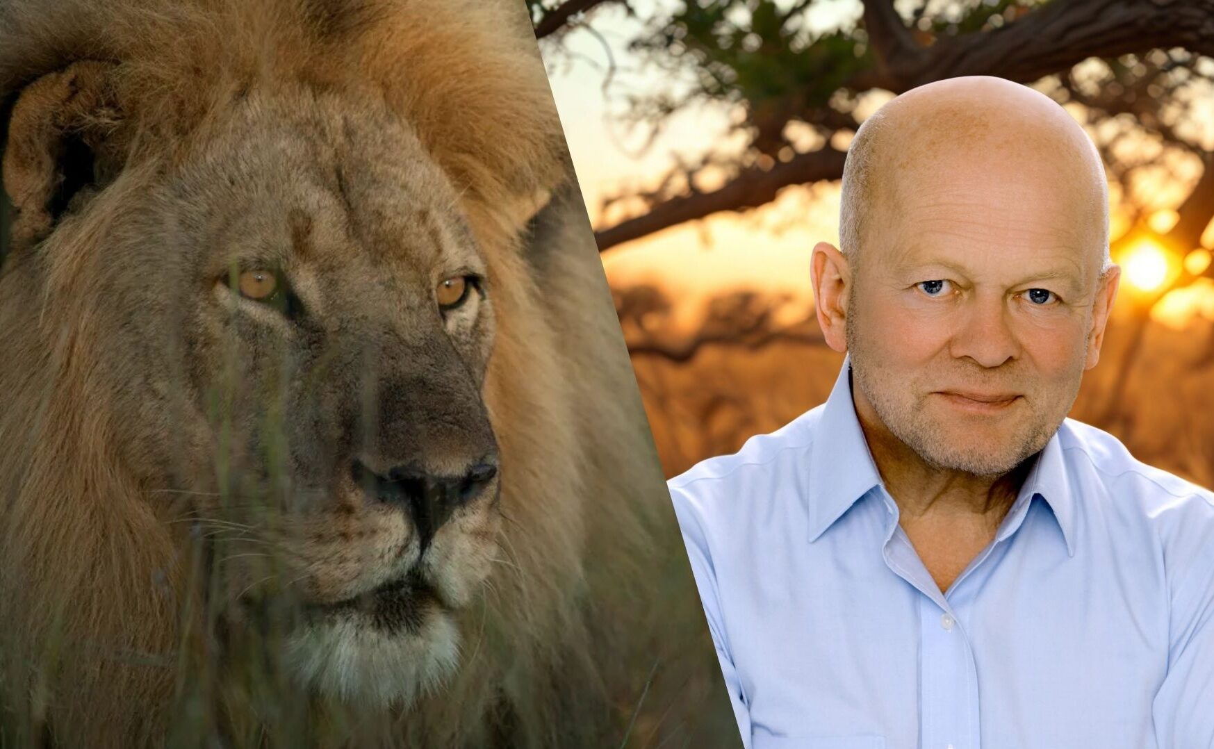 ENTREVISTA EXCLUSIVA | De 127 Horas a Cecil: John Smithson llega a Santiago Wild 2026 con su último estreno, que reabre el debate global sobre la conservación