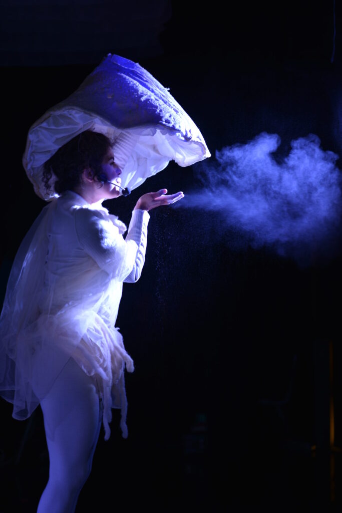 foto cortesía de Festival Reino Fungi