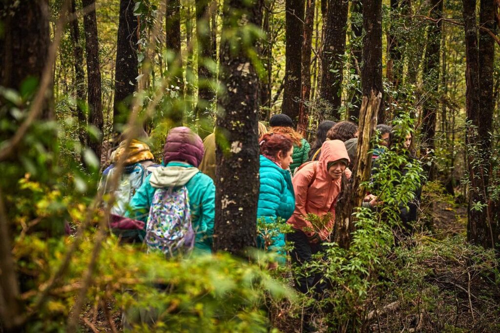 foto cortesía de Festival Reino Fungi