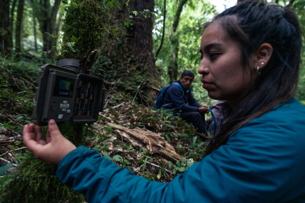 Créditos Daniel Pastene