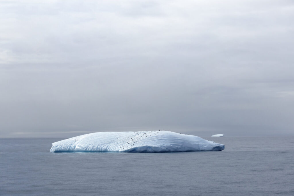 Paisaje antártico. Créditos: ©Cristián Campos Melo