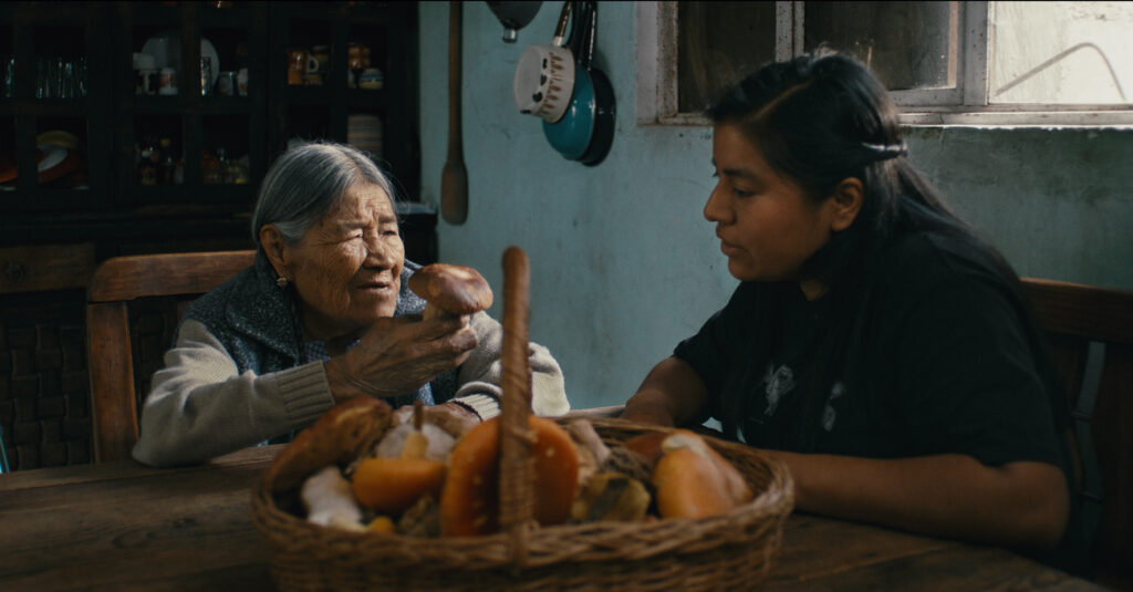 Still película "Hijas del bosque"