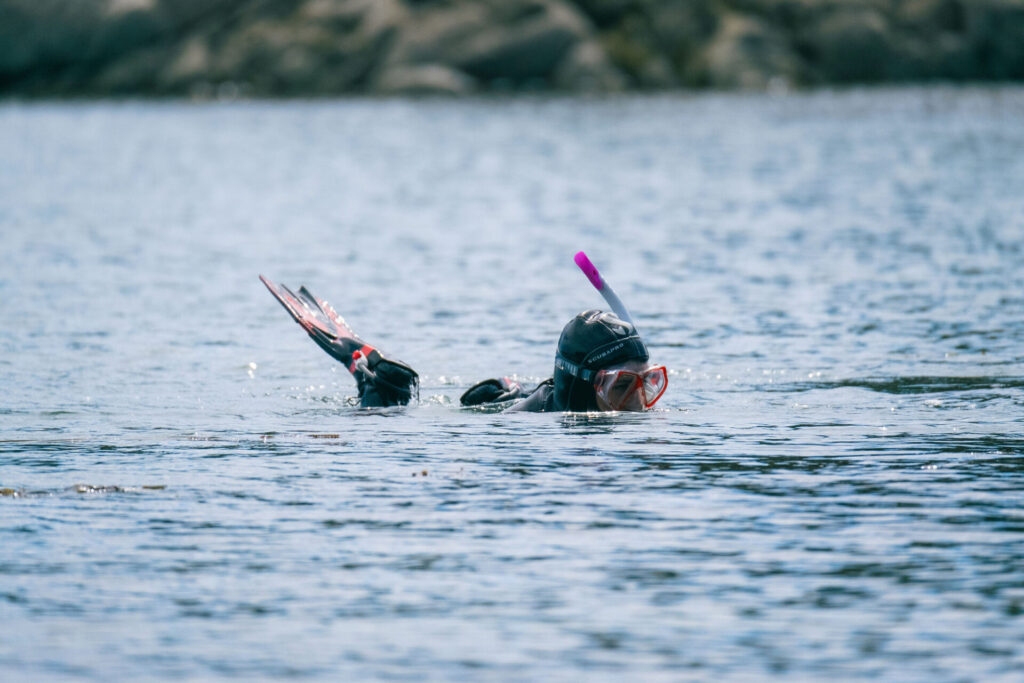 Expedición Megatransecto, foto de Diego Ramos