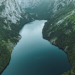 Foto cortesía de Área de Conservación Cañicura