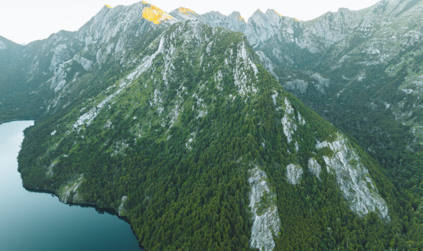 La vida que resiste después del incendio: Lago Cañicura y el proyecto que conserva sus más de dos mil hectáreas en el Biobío