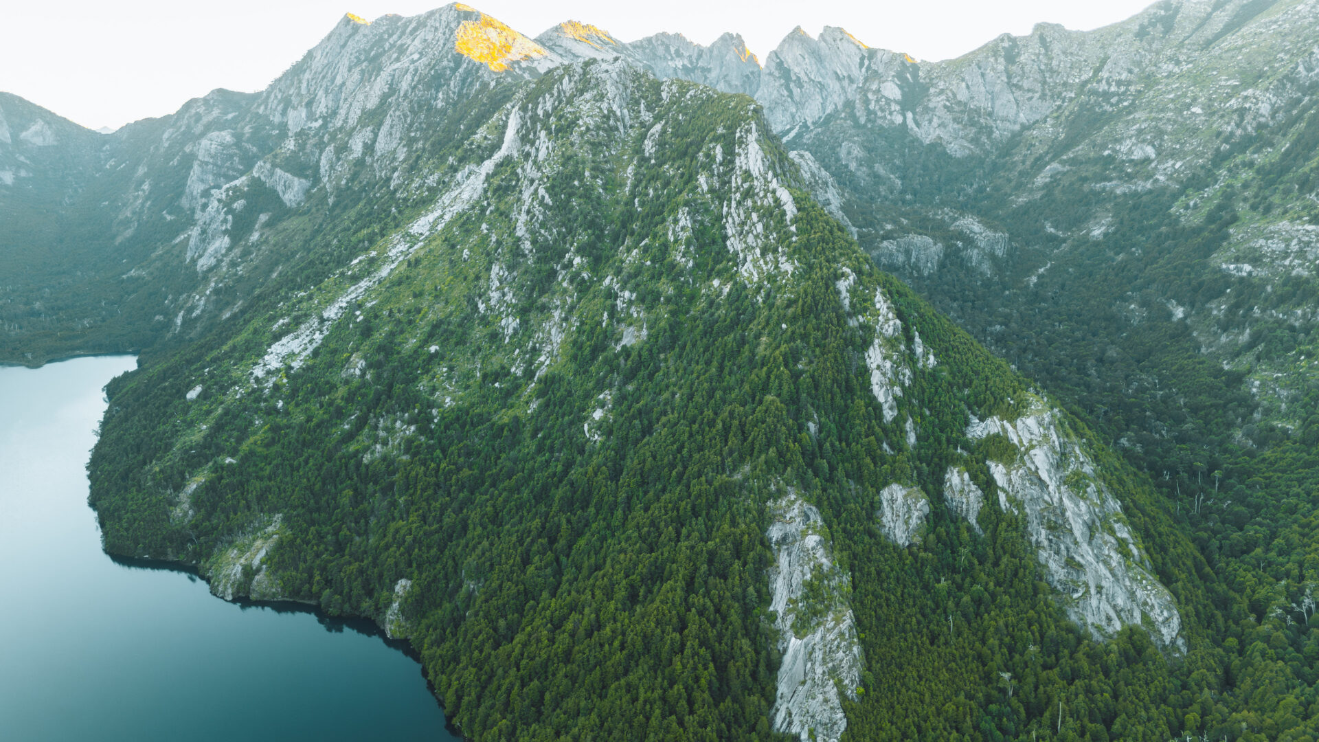 La vida que resiste después del incendio: Lago Cañicura y el proyecto que conserva sus más de dos mil hectáreas en el Biobío