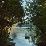 Foto cortesía de Área de Conservación Cañicura