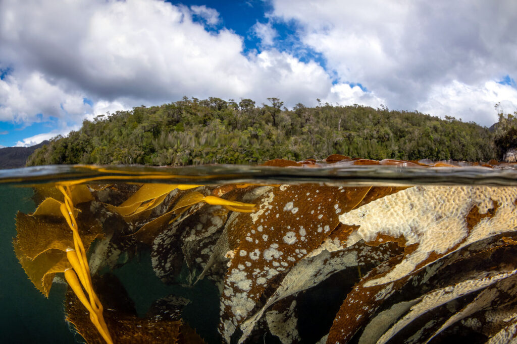 Expedición Megatransecto, foto de Eduardo Sorensen