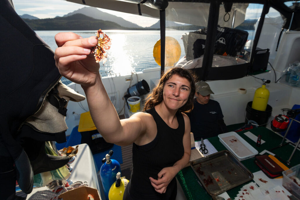 Expedición Megatransecto, foto de Eduardo Sorensen