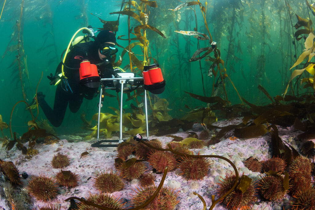 Expedición Megatransecto, foto de Eduardo Sorensen