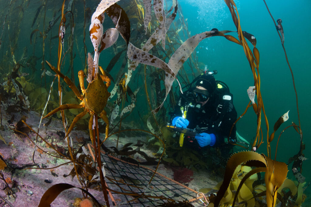 Expedición Megatransecto, foto de Eduardo Sorensen