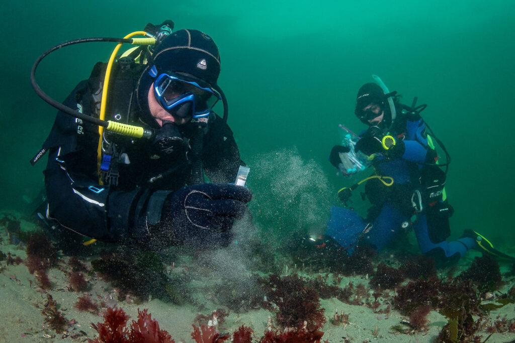 Expedición Megatransecto, foto de Eduardo Sorensen