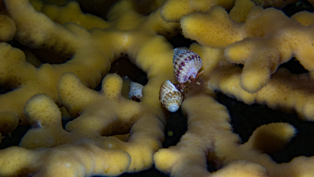 foto de Ana Navarro Campoy