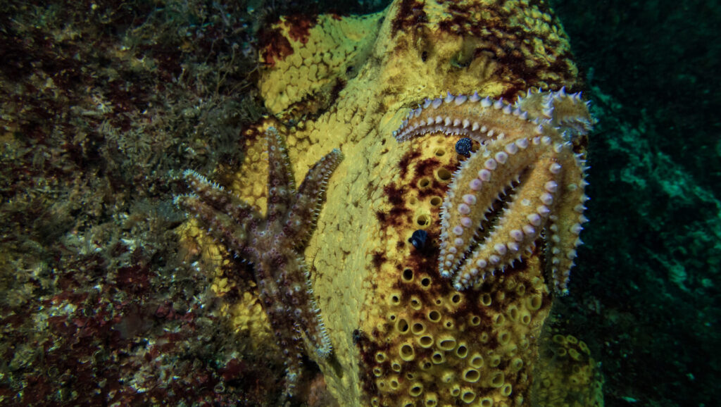 foto de Ana Navarro Campoy