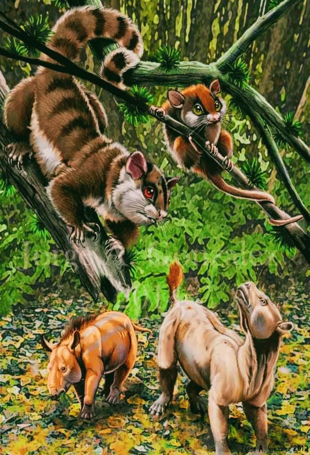 La Antártida del Eoceno tenía una variedad de mamíferos, desde especies grandes como Anarctodon y Notiolofos hasta otras más chicas como Antarctodolops. Créditos: Ilustración de Jorge Antonio González para el estudio “Final Gondwana breakup: The Paleogene South American native ungulates and the demise of the South America–Antarctica land connection”. DOI: https://www.sciencedirect.com/science/article/abs/pii/S0921818114001507