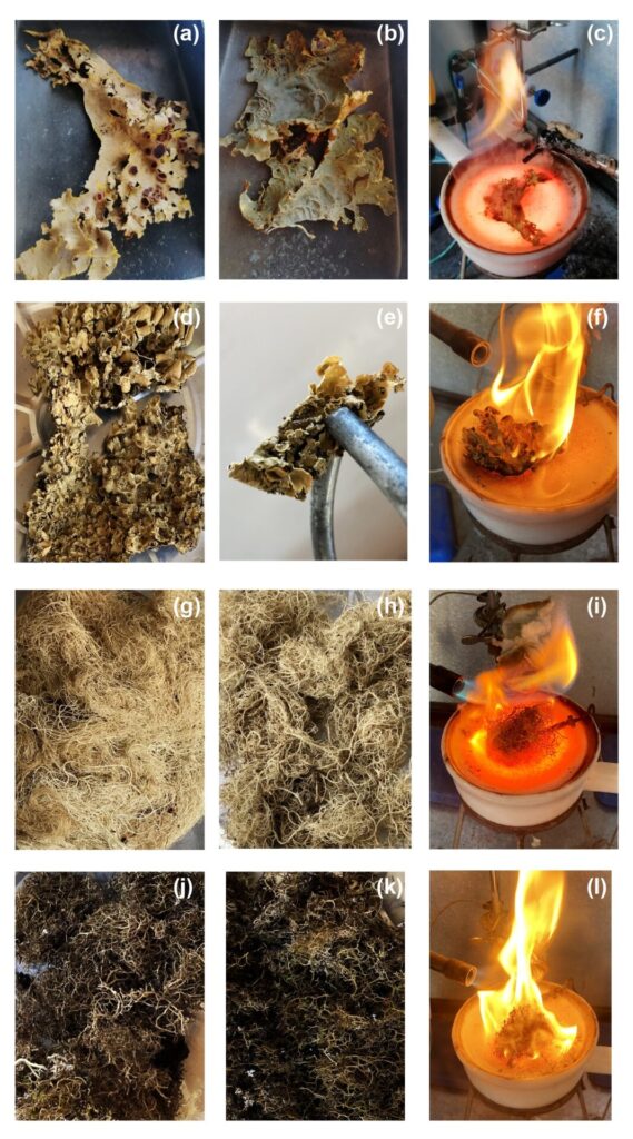 Figura - suplementos del paper