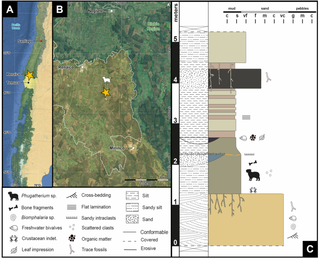 cortesía Museo Natural Historia Natural
