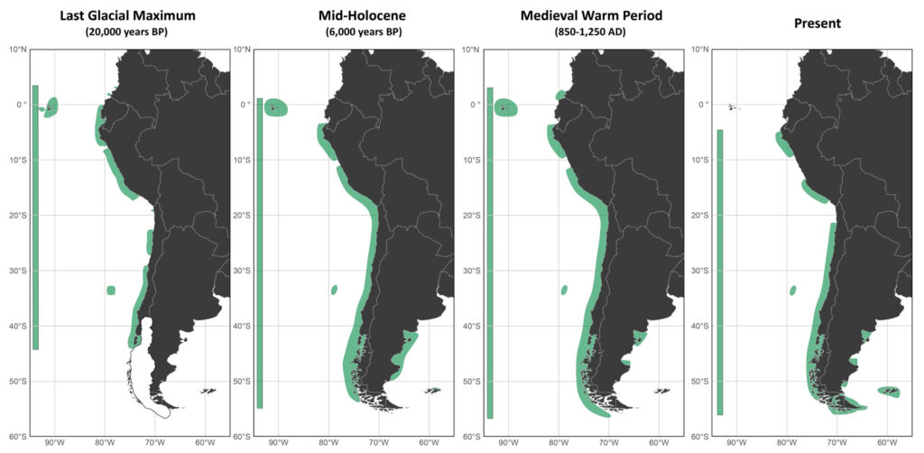 Modelos a pasado de los bosques huiro en Chile.