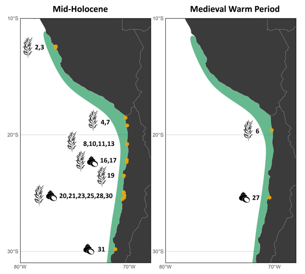Modelos y los sitios arqueológicos. Créditos: Gonzalez-Aragon D, Flores C, Torres FI and Broitman BR (2026) Tracing the kelp highway hypothesis in South America: poleward shifts in kelp past distribution and archaeological evidence of human use. Front. Ecol. Evol. 13:1720175. doi: 10.3389/fevo.2025.1720175