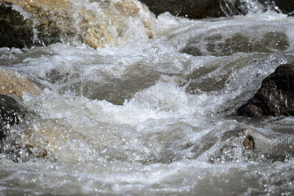 Fotografía por Martin Katz de Greenpeace.