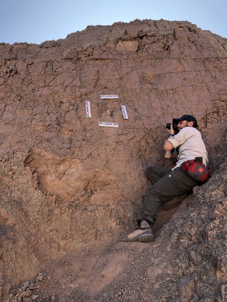 Quebrada Huatacondo. Christian Meyer.